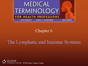 Chapter 6 The Lymphatic and Immune Systems 2009