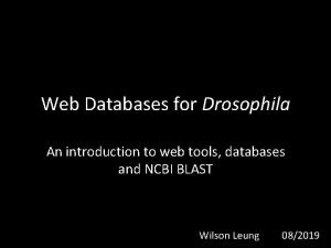 Web Databases for Drosophila An introduction to web