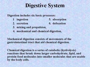 Six processes of digestion