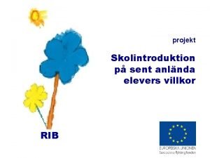 projekt Skolintroduktion p sent anlnda elevers villkor RIB