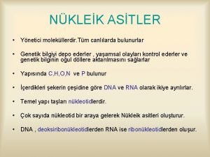 NKLEK ASTLER Ynetici molekllerdir Tm canllarda bulunurlar Genetik