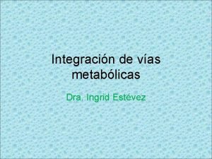 Integracin de vas metablicas Dra Ingrid Estvez Metabolismo