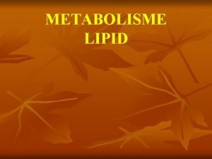METABOLISME LIPID Integrasi Metabolisme KOH Lipid Protein 2