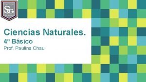 Ciencias Naturales 4 Bsico Prof Paulina Chau Objetivo