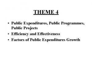 THEME 4 Public Expenditures Public Programmes Public Projects