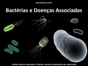 www bioaula com br Bactrias e Doenas Associadas