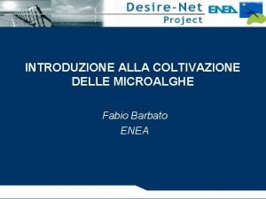 INTRODUZIONE ALLA COLTIVAZIONE DELLE MICROALGHE Fabio Barbato ENEA