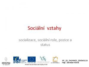 Socialni role