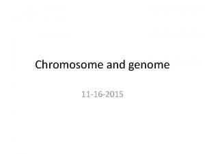 Chromosome and genome 11 16 2015 Genome whole
