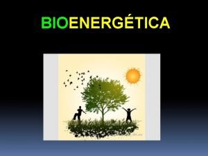 BIOENERGTICA BIOENERGTICA DEFINICIONES GENERALES Sistema parte del universo