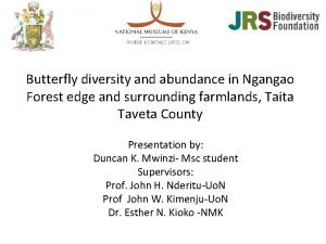Butterfly diversity and abundance in Ngangao Forest edge
