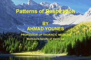 Biots respiration