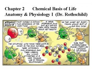 Chapter 2 Chemical Basis of Life Anatomy Physiology