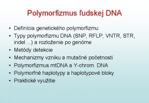 Geneticky polymorfizmus