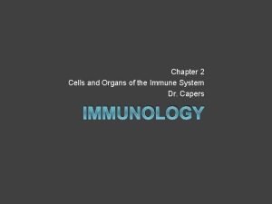 Pals immunology