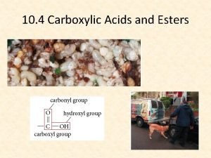 10 4 Carboxylic Acids and Esters Carboxylic Acids