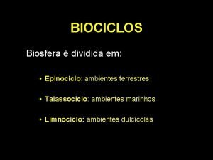 Como é dividido o limnociclo