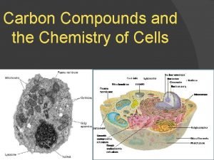 Carbon Compounds and the Chemistry of Cells Carbon