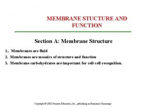 Stucture of cell membrane