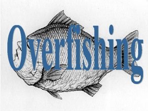 What is overfishing