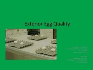 Exterior Egg Quality Created by Connie Page Emanuel