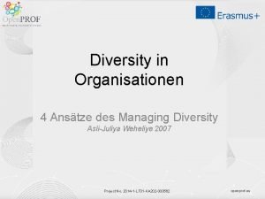 Diversity in Organisationen 4 Anstze des Managing Diversity