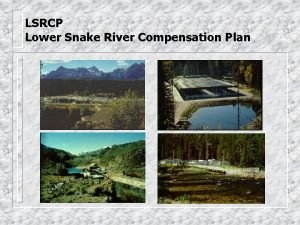 LSRCP Lower Snake River Compensation Plan LSRCP Hatchery