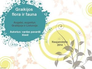 Graikijos flora ir fauna Augalai augantys Graikijoje ir