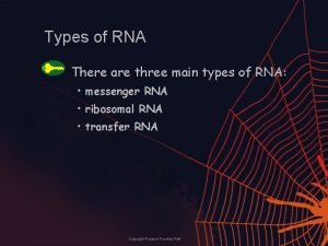 Types of RNA There are three main types