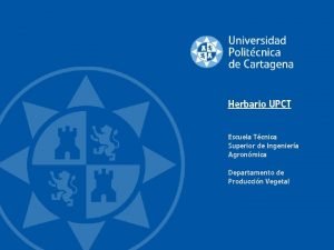 Herbario UPCT Escuela Tcnica Superior de Ingeniera Agronmica