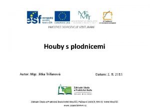 Houby s plodnicemi Autor Mgr Jitka Trifanov Datum