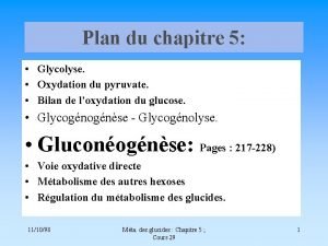 Plan du chapitre 5 Glycolyse Oxydation du pyruvate