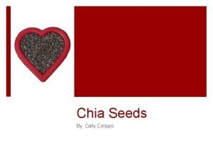 Chia Seeds By Carly Corippo Chia Seeds Introduction