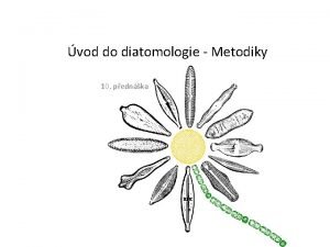 vod do diatomologie Metodiky 10 pednka Odbr fytobentosu