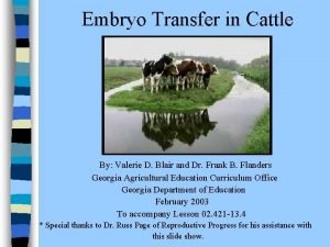 Embryo Transfer in Cattle By Valerie D Blair