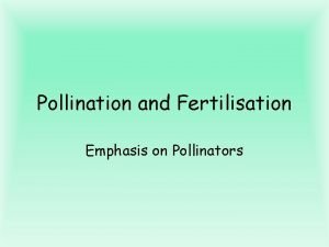 Pollination and Fertilisation Emphasis on Pollinators Pollination Selfpollination