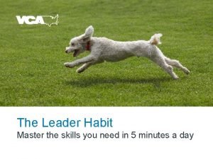 The leader habit