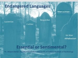 Endangered Languages Essential or Sentimental Dr Allyson Eamer