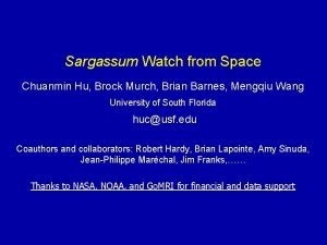 Sargassum watch