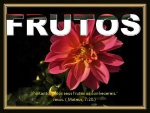 Portanto pelos seus frutos os conhecereis Jesus Mateus