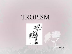 Tropisms