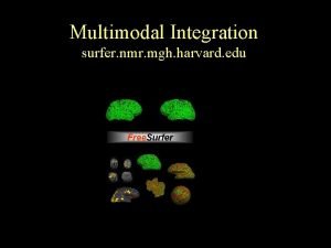 Multimodal Integration surfer nmr mgh harvard edu Overview