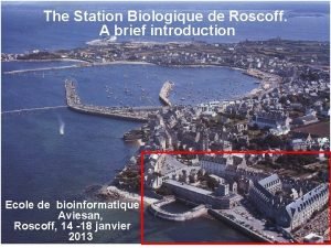 Roscoff laboratoire