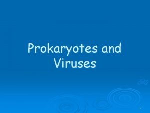 Prokaryotes and Viruses 1 West Nile Virus 2