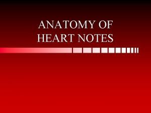 ANATOMY OF HEART NOTES HEART CHAMBERS Atria receiving