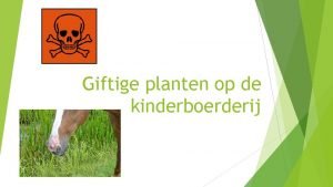 Giftige planten op de kinderboerderij Een dierverzorger met