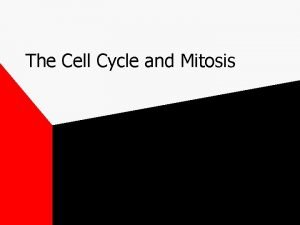 The Cell Cycle and Mitosis Cell Cycle Interphase