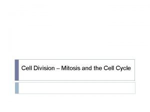 Mitosis