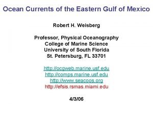 Ocean currents gulf of mexico
