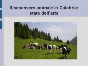 Il benessere animale in Calabria stato dellarte Benessere